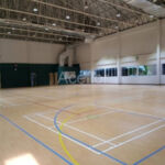 Aceflex-Aceflex Sports